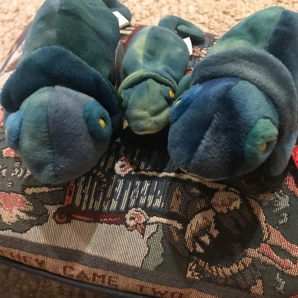 Ty Beanie Babies 1993-97 Rainbow Chameleon Bundle - Picture 6 of 7
